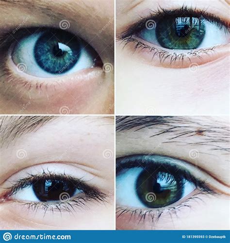 Beautiful Eye Multi Colored Eyes Eyes Of Different Shapes Stock Image