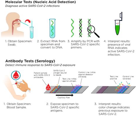 Female patient wearing mask over mouth is having sample taken from nose for a pcr test for covid 19 nurse in medical ppe suit holds tube of coronavirus pcr test. COVID-19 Testing FAQs