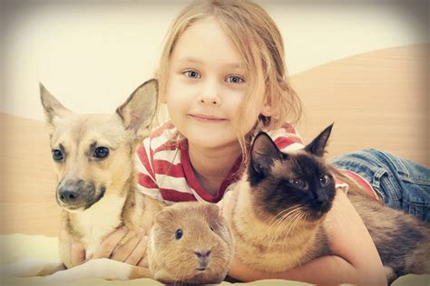 Responsible Pet Ownership Awareness is Every Single Day | Pet Sitters