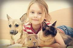 Craigslist Joplin Pets A Community Resource For Responsible Pet Ownership