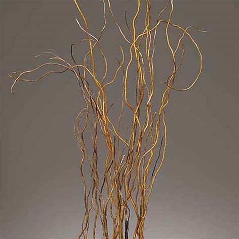 Natural Curly Willow Branches 3 4 Feet 144 Branches