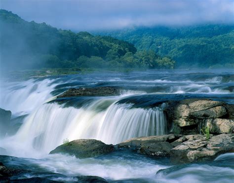 The park falls in the regions of the sutherland shire council and bankstown city council. New River Gorge | National Park Foundation