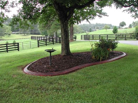 10 Stylish Ideas For Landscaping Around Trees 2024