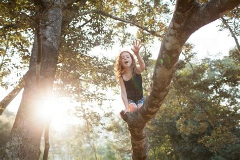 Image Of Young Girl Climbing High In A Tree Austockphoto