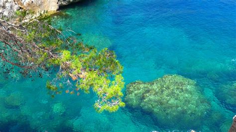 Fotos Gratis Mar Agua Naturaleza Rock Oceano Buceo Submarino