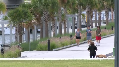 City Of Tampa Reopens Parks Dog Parks And Beaches