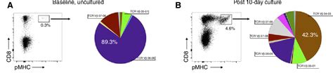 Figure 3 From The Mutation Associated Neoantigen Functional Expansion