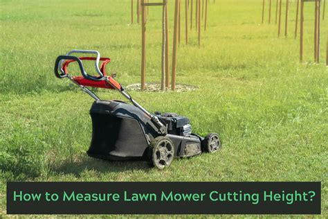 How To Measure Lawn Mower Cutting Height Explained