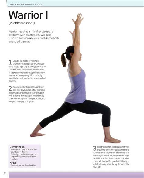 Anatomy Of Fitness Yoga Anatomy Of Fitness By Goldie