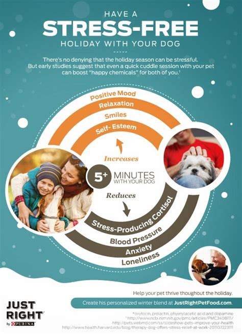 Have A Stress Free Holiday With Your Dog Pawsitively Pets