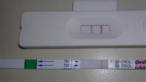 ovulation test positive negative pregnant pregnancy babycenter another