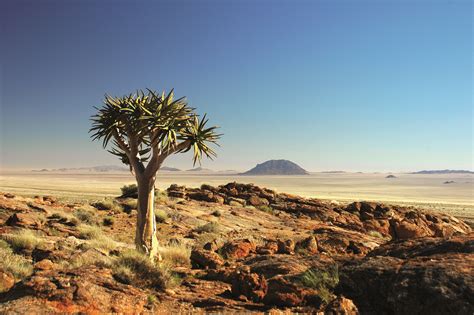 Namibia Highlights L Lodgereise Afrika Reisen Safari Afrika