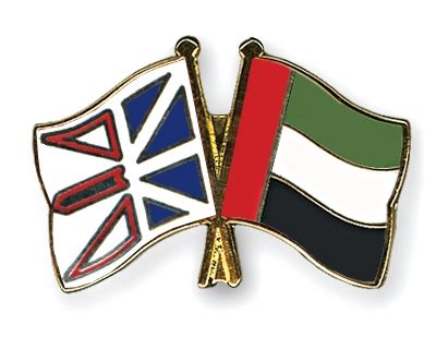 Crossed Flag Pins Newfoundland And Labrador United Arab Emirates Flags