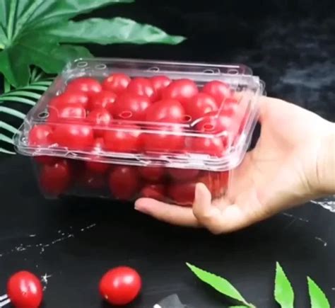 Disposable Clear Plastic Fruit Packaging Box Package Containers Rpet