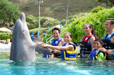 Sea Life Park Dolphin Interactions