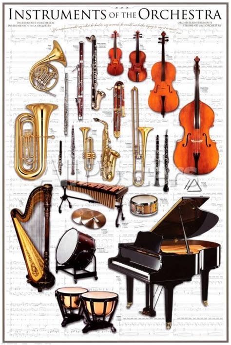 Instruments Symphony Orchestra Print Instruments