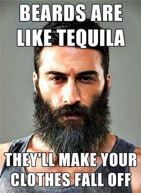 40 funny beard memes and hottest celebrity beards to celebrate national beard day i love beards