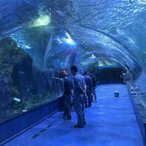 Acrylic Tunnel Oceanarium Project In Public Aquariums Public Aquarium
