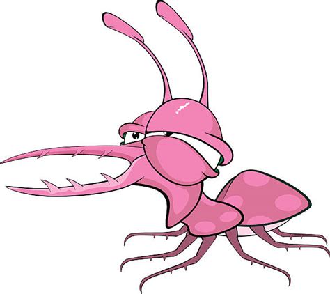Cartoon Of A Ugly Insect Illustrations Royalty Free Vector Graphics