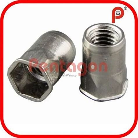 Pentagon Ms Full Hex Body Large Head Insert Nuts Size M4 M12 At Rs 0