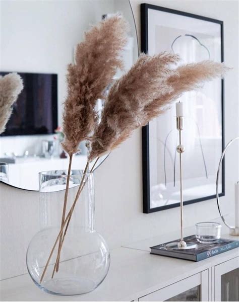 1pc 30 Ivory Golden Or Cream Pampas Grass Pampas Etsy Canada