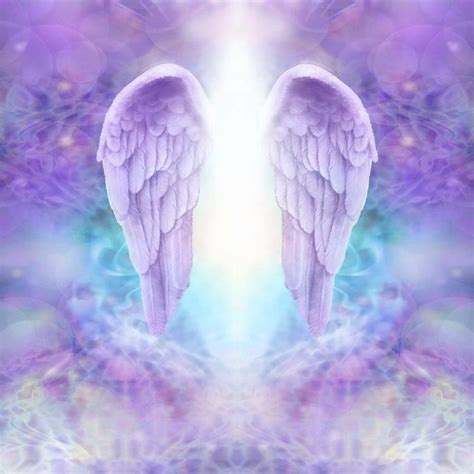 Top Imagen Angel Wings In Heaven Background Thpthoanghoatham Edu Vn