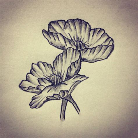 Poppy Flower Tattoo Sketch Drawing Tattoo Ideas By Ranz Poppy