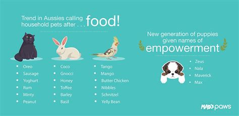 Food names for white dogs. Australia's Favourite Pets | Mad Paws Blog