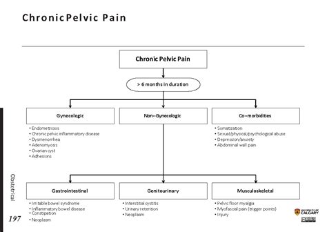 Chronic Pelvic Pain Blackbook Blackbook