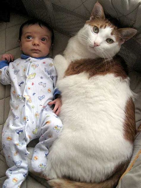 Babies And Cats Being Too Cute 25 Pics