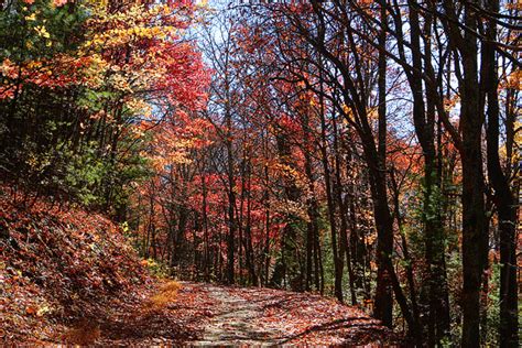Fall In Beautiful Blue Ridge Cabin Rentals Of Georgia