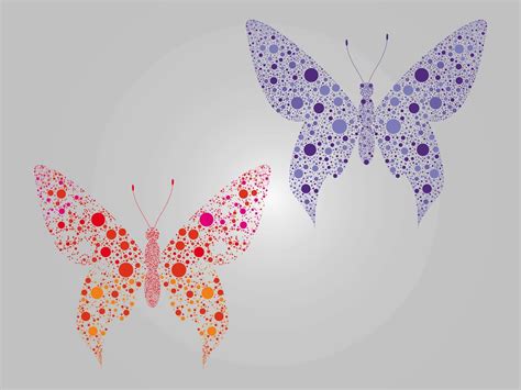 Abstract Butterflies Vector Art And Graphics