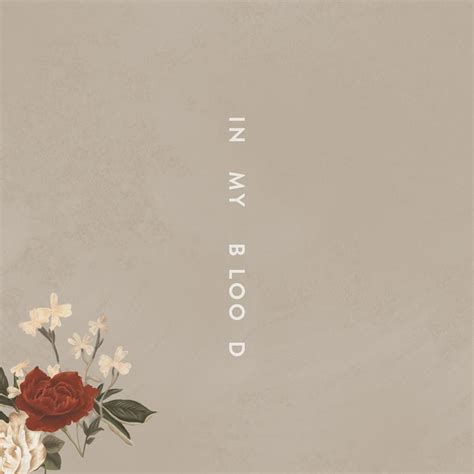 Shawn Mendes Returns With New Single Stg