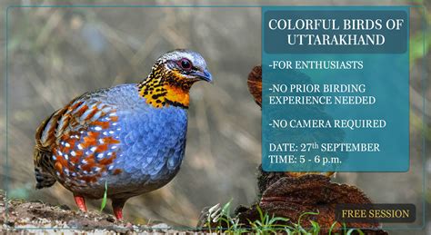 Colorful Birds Of Uttarakhand