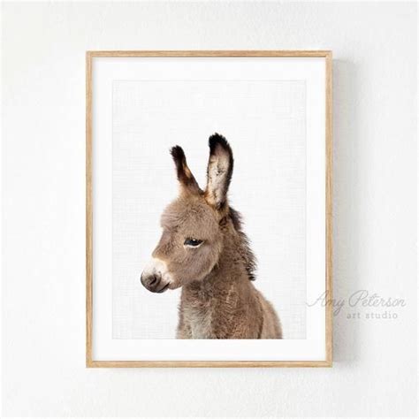 Baby Donkey Print Baby Farm Animal Nursery Art Nursery Wall Etsy