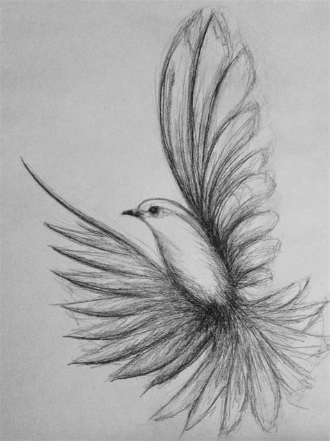 Simple Bird Pencil Drawing