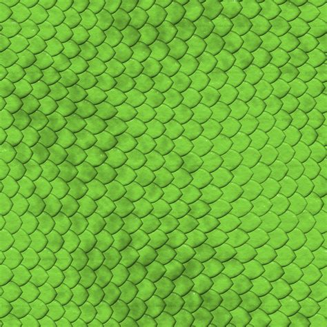 🔥 Free Download Snake Reptile Skin Texture 4000x4000 For Your Desktop