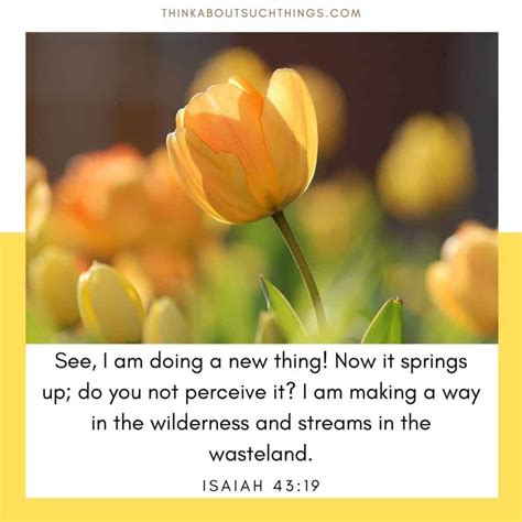 17 Beautiful Spring Bible Verses To Glean From Think About Such Things