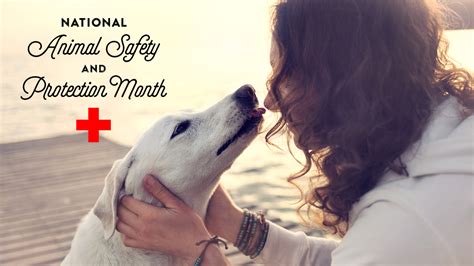 October Is National Animal Safety And Protection Month Vita Bone