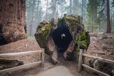 Kings Canyon One Of The Deepest Canyons In North America Explore