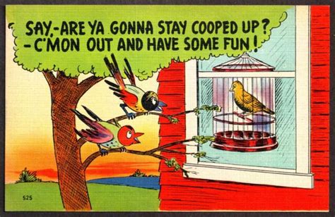 1940s 1950s Linen Postcard Unused ~ Humor Comic Risque Cooped