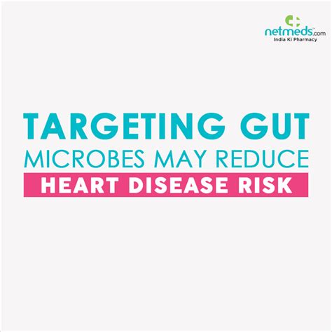 Targeting Gut Microbes May Reduce Heart Disease Risk