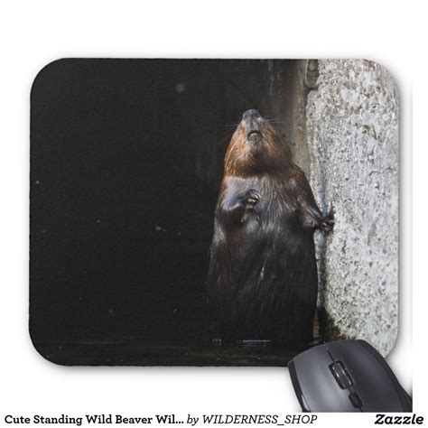 This standing desk offers three height settings from 18 inches to 65 inches which are perfect for anyone with a wide range of heights in their home. Cute Standing Wild Beaver Wildlife Photo Mouse Pad | Mouse ...
