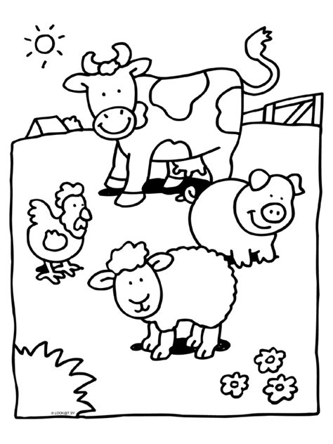 Er zijn veel boerderijdieren en schapen zijn daar 1 van. Kleurplaat Boerderij Zonder Dieren | Boerderij Kleurplaat