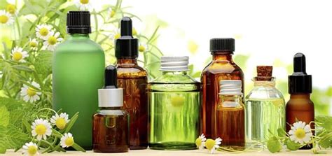 Can You Treat Lyme Disease With Essential Oils Planet Organics