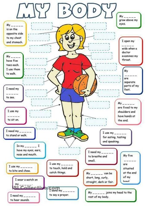 Helpful for kids to identify the parts of body. Pin em Learn Body Part