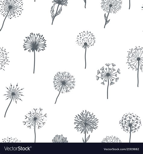 Dandelion Old Plant With Seeds Sketches Outline Vector Image