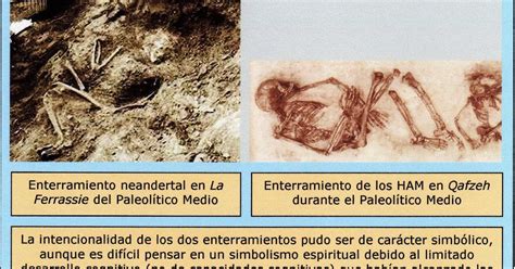 Arqueología Cognitiva Conductas Ante La Muerte En El Paleolítico