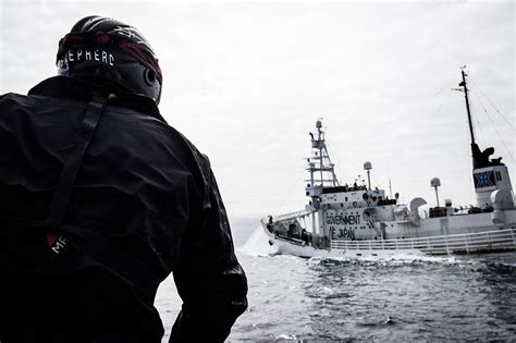 Sea Shepherd Crew Member Staring Down The Shonan Maru During A