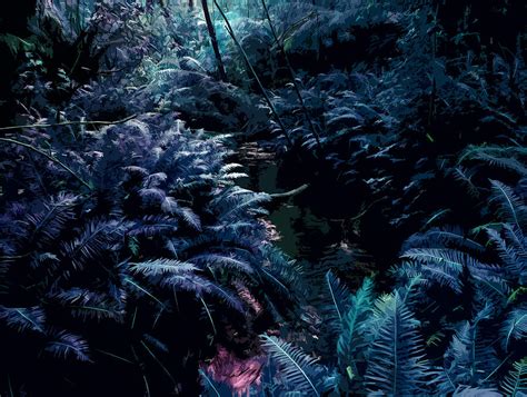 Blue Tropical Surreal Forest Digital Art By Phill Petrovic